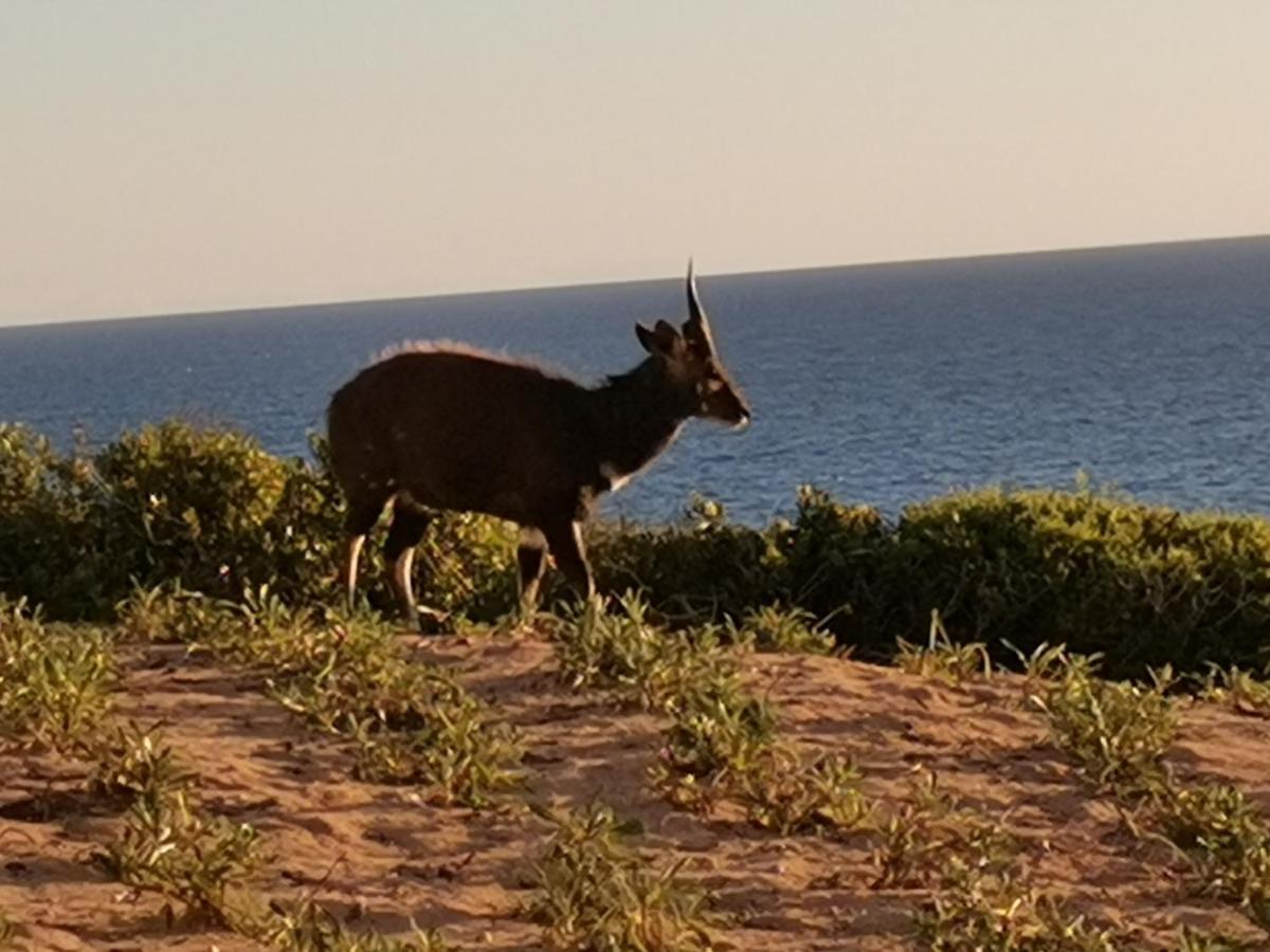 Lodge 93 Mossel Bay Esterno foto